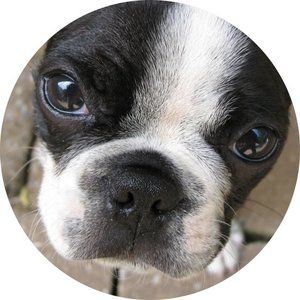 Meet your Posher, Tamara